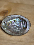 Coquille d'ormeau (Abalone)