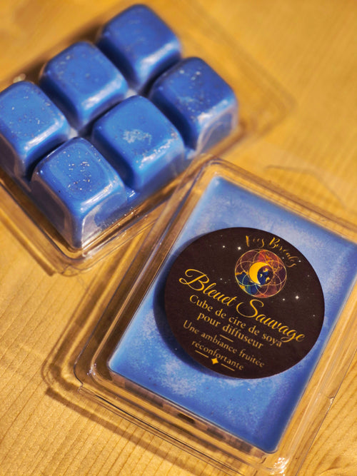 Cubes de cire de soya Bleuet Sauvage pour diffuseur – Fées Boréales