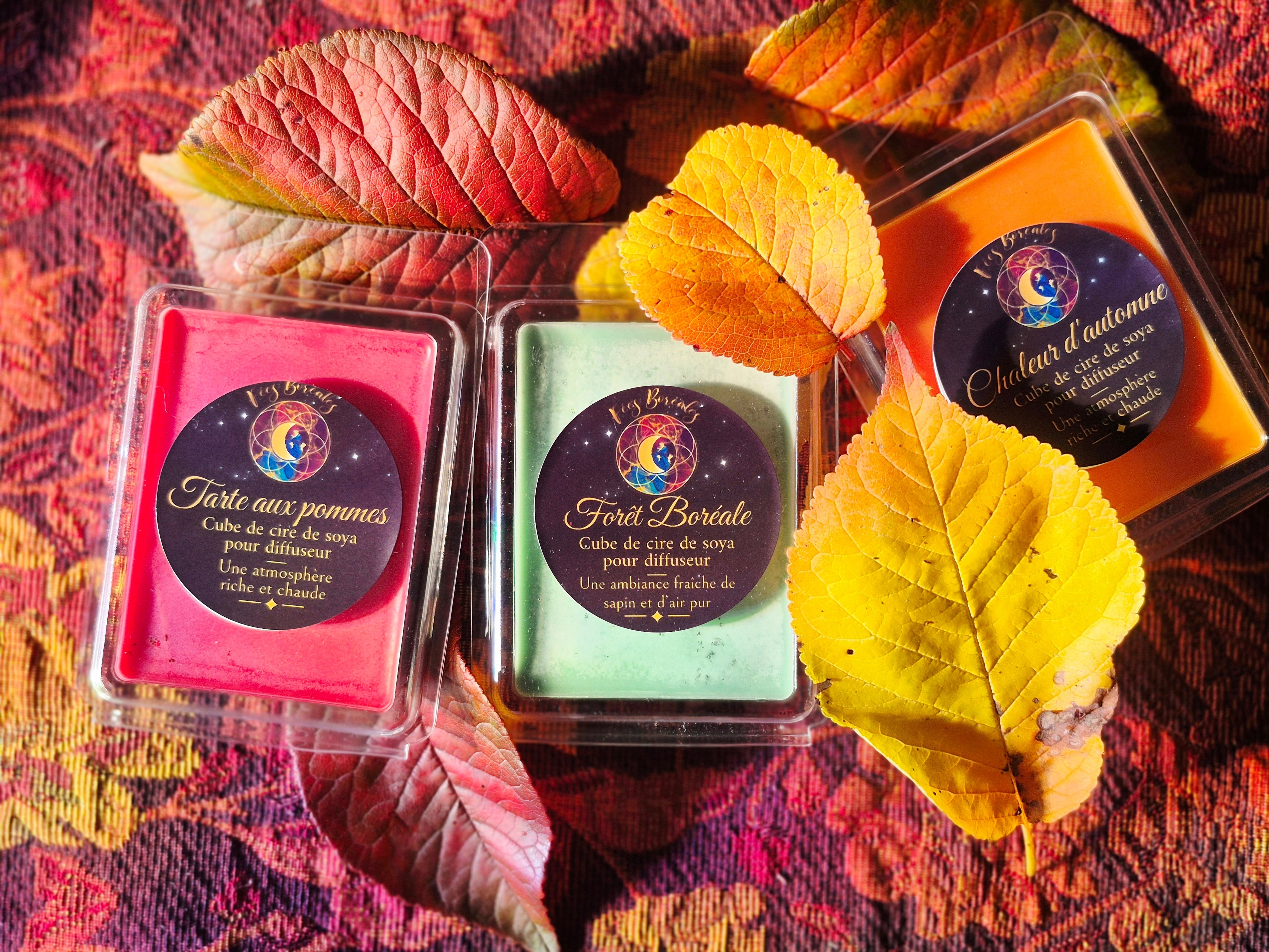 Trio Spécial Automne – Tarte aux pommes, Forêt Boréale et Chaleur d'automne, cubes de cire de soya Fées Boréales